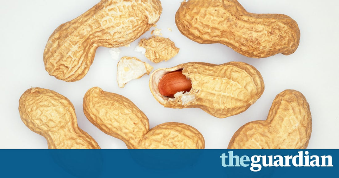 Peanut allergy cured in majority of children in immunotherapy trial