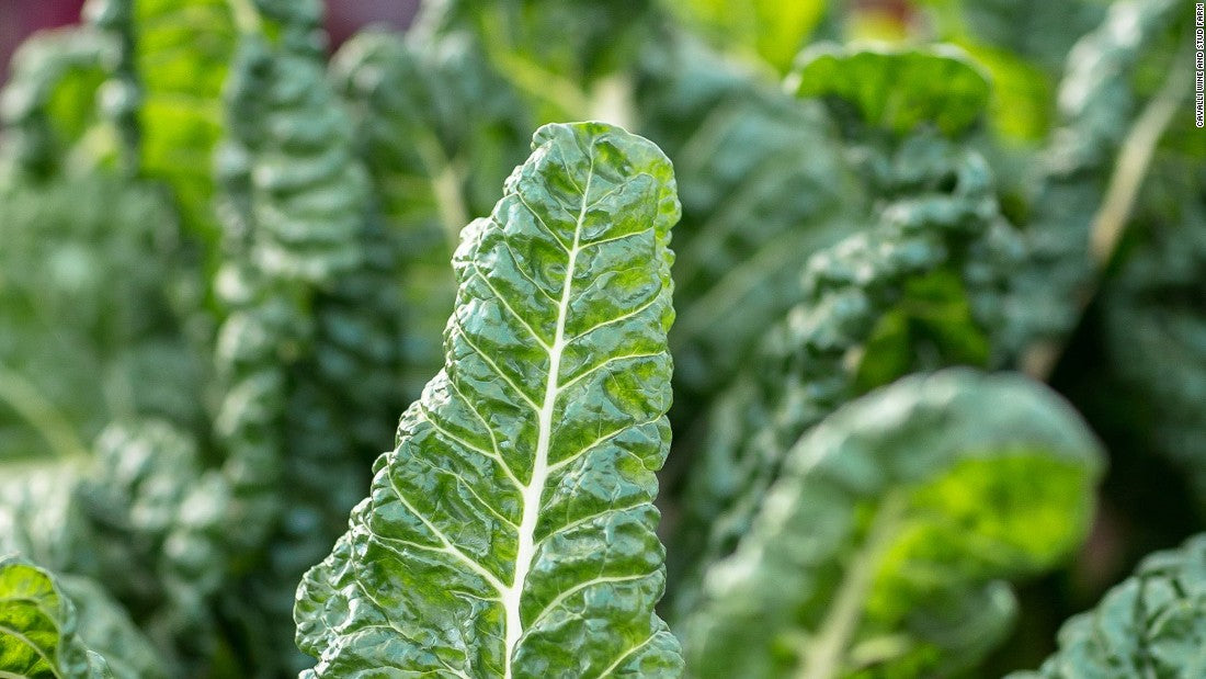Listeria triggers major recall of veggies across US and Canada