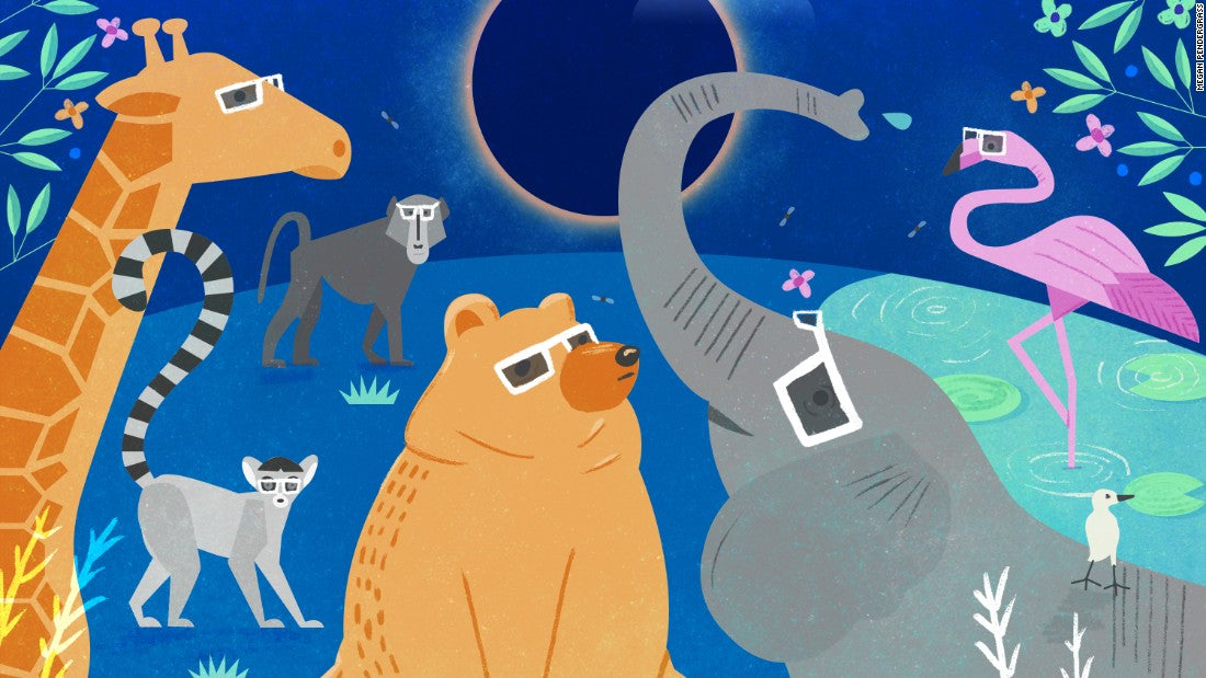 Help solve an ancient mystery about the eclipse: Figure out what the animals do