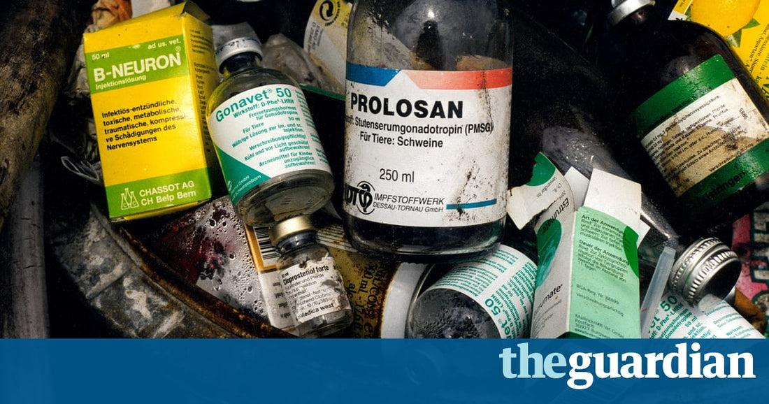 Farmers must stop antibiotics use in animals due to human health risk, warns WHO