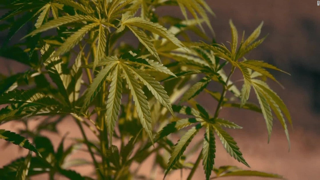 Poll: Majority of Republicans support marijuana legalization