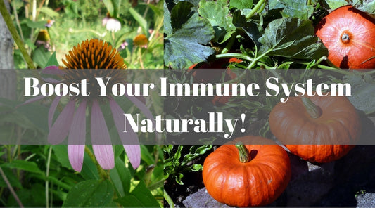 immune system