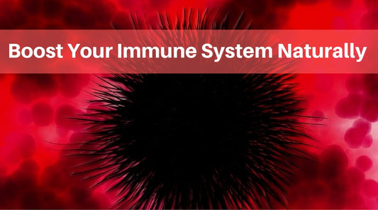 boost immune system