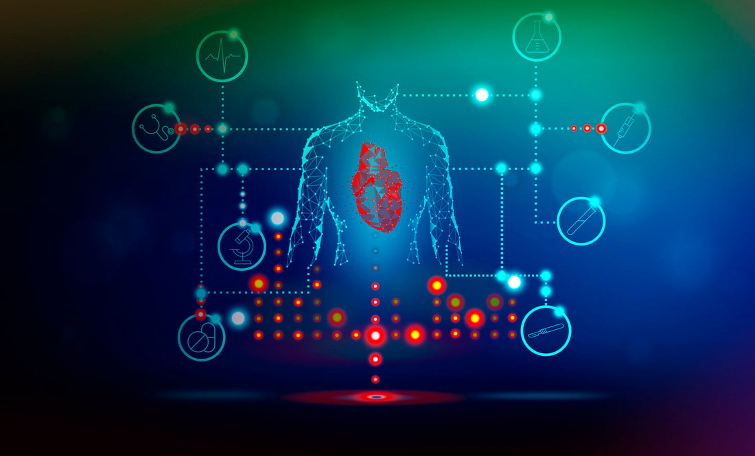 Discovering the Mystery of the Disappearing Thymus Gland