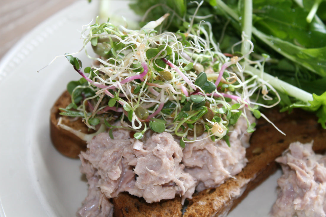 Sprouting Seeds in a jar