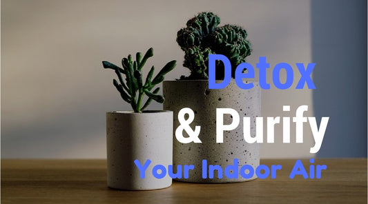 detox