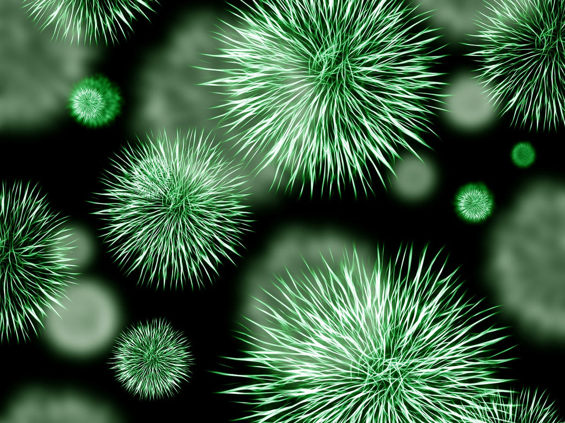 germs