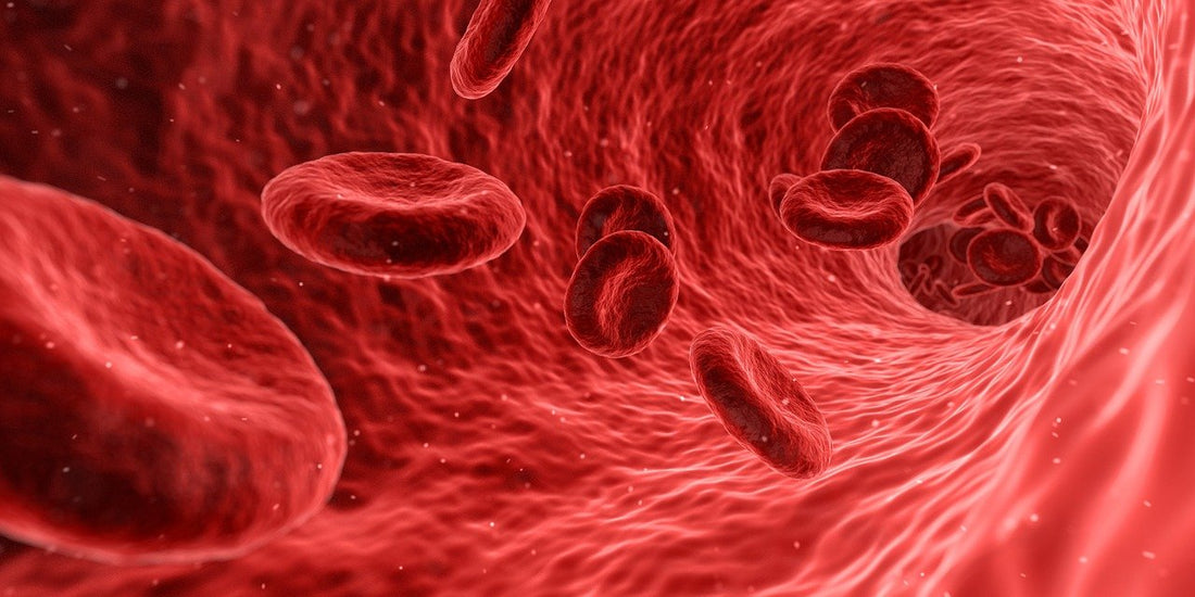 High Blood Sugar: 7 Surprising Factors That Matter
