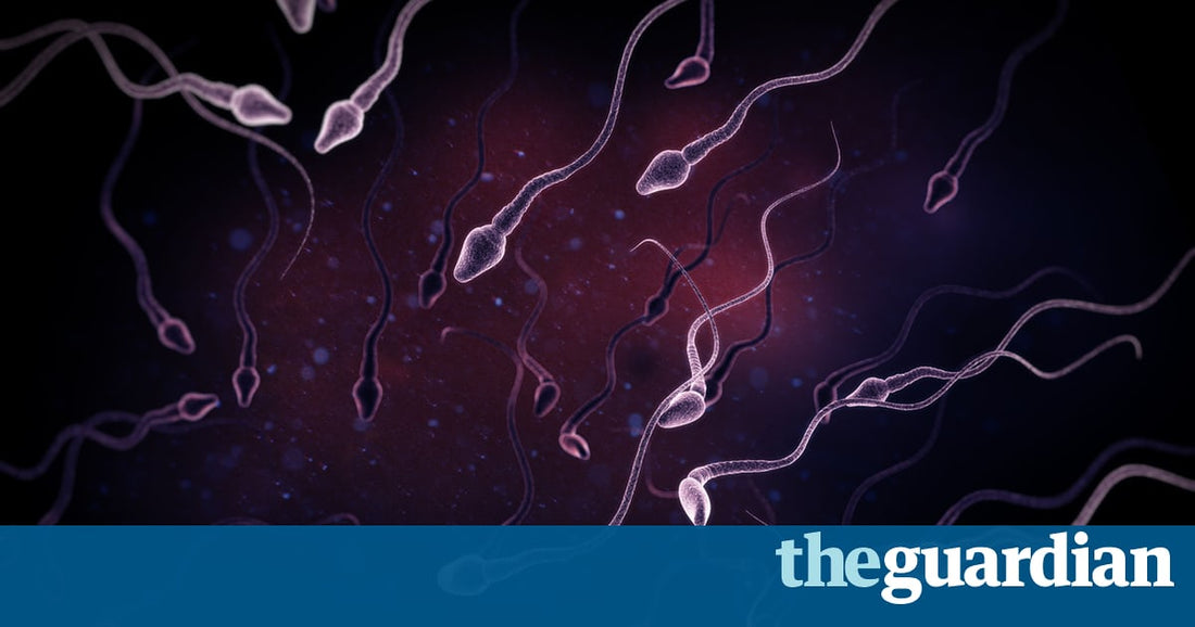 Sperm Counts Among Western Men Have Halved In Last 40 Years!
