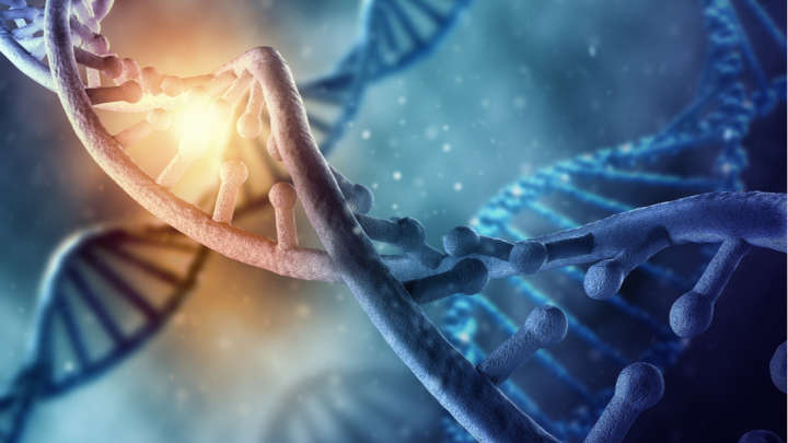 Scientists Have Edited The Genetic Code Directly Inside An Adult Human's Body For The First Time