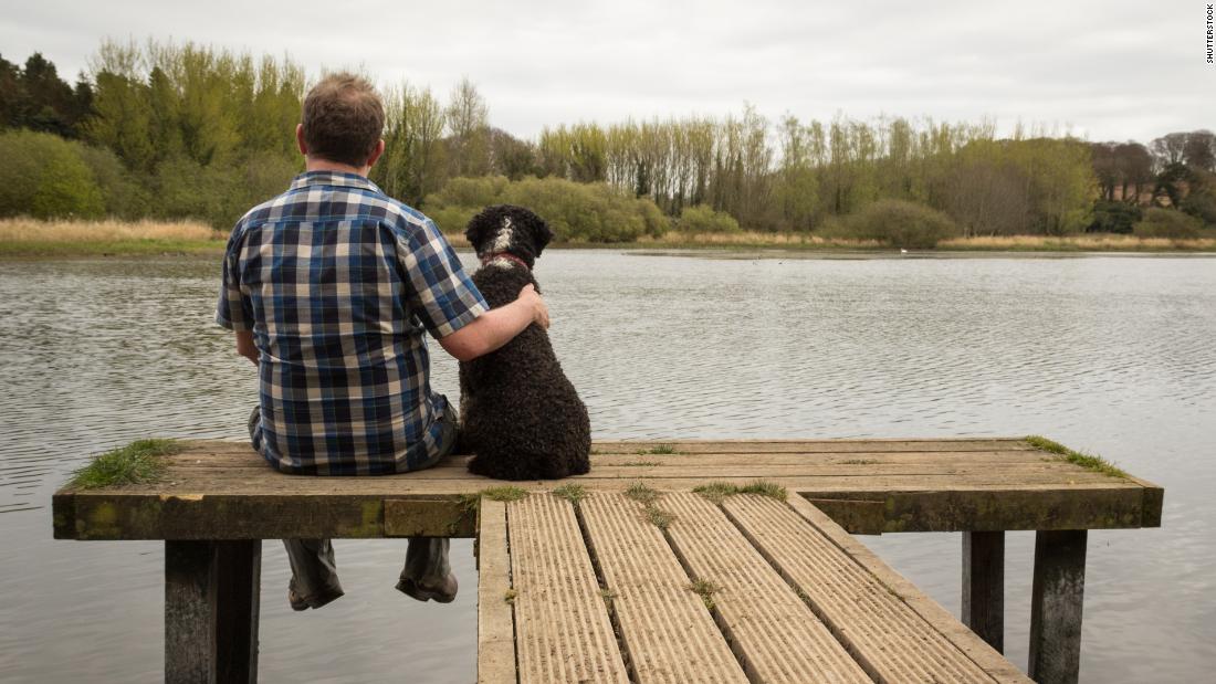 Dogs owners have a lower risk of mortality
