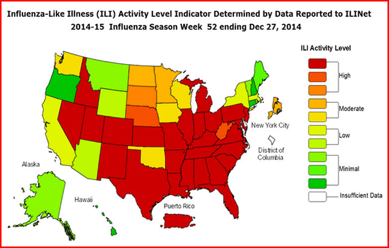 How the Flu Virus Impacts Your Immune System