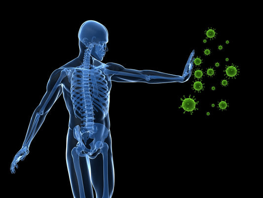 The Two Parts of Your Immune System and How They Protect You