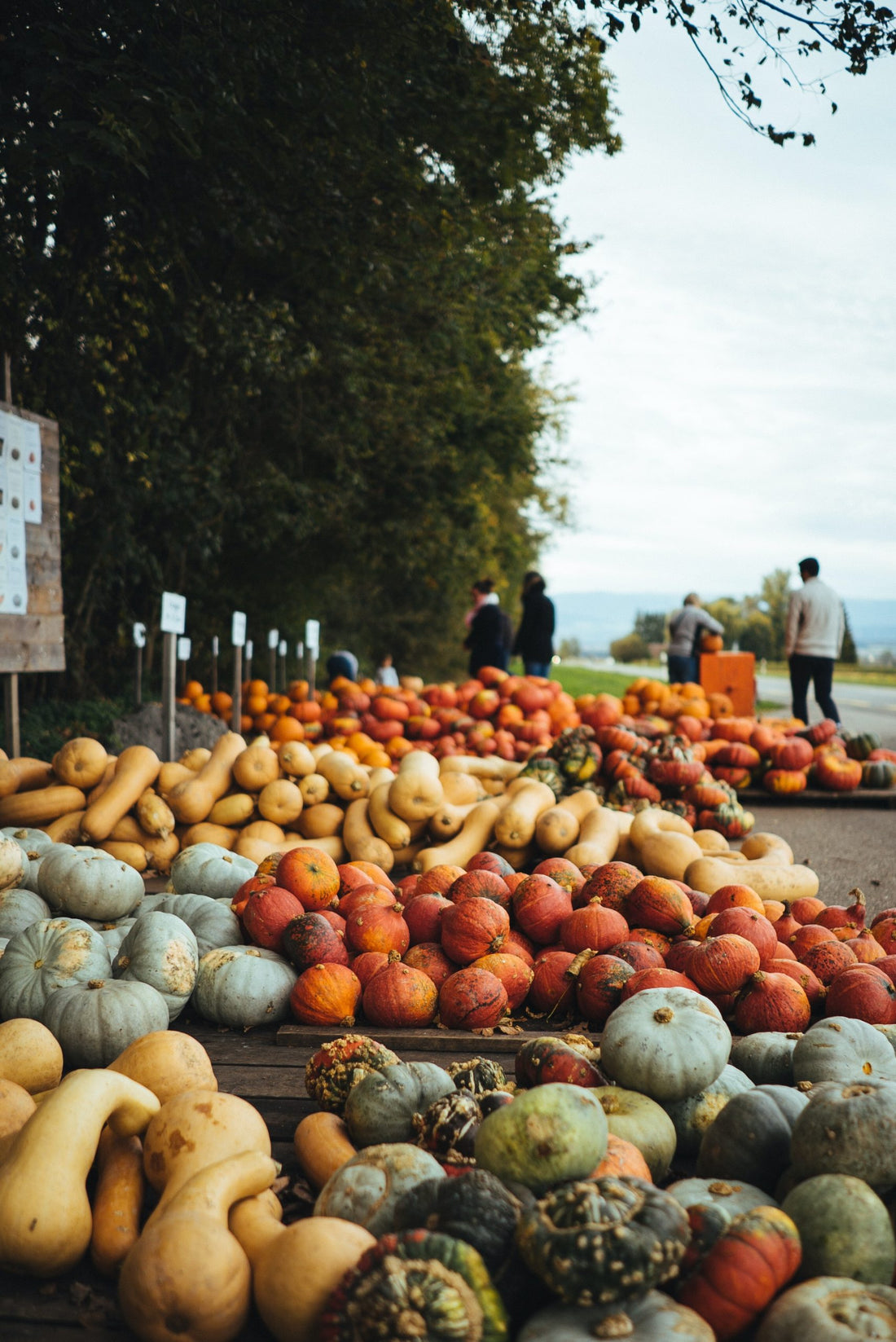 The Most Underrated Winter Produce to Try This Season