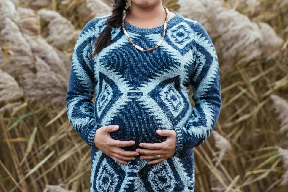Can Immunological Dysfunctions Contribute to the Causes of Preeclampsia?