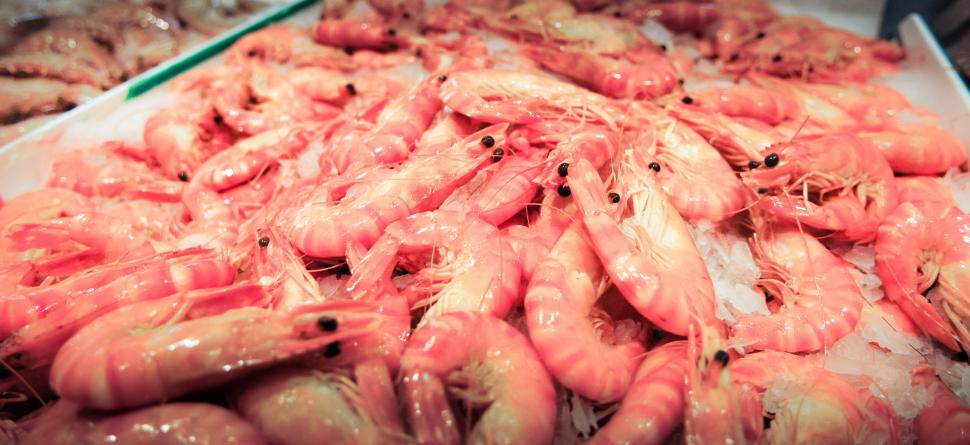Selenium Foods: A Full Meal Plan Rich in This Vital Mineral