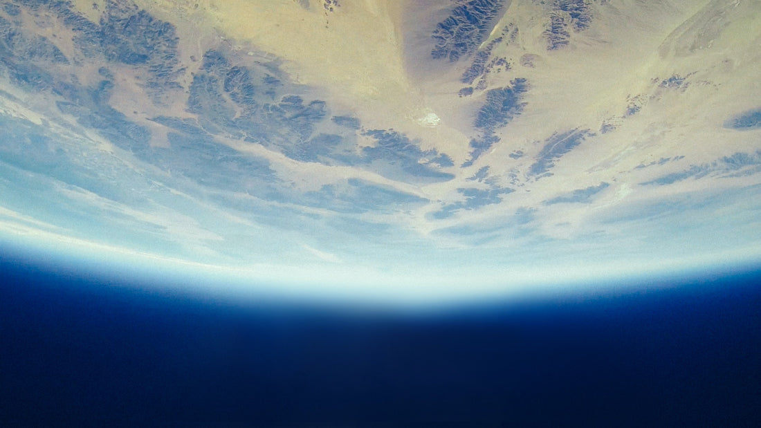 The Importance of the Existence of Bacteria in the Environment