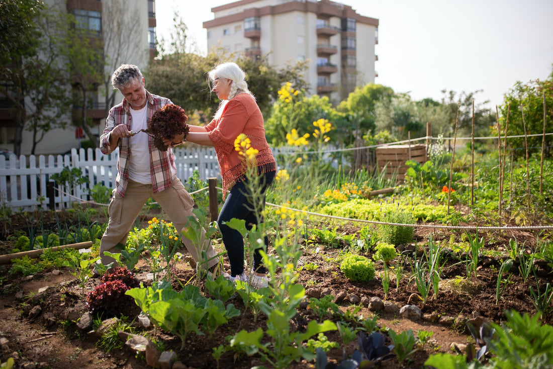5 Summer Veggies to Enjoy This Summer