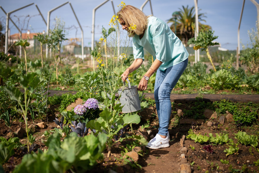 The Benefits of Compost: How to Make Your Own Compost at Home
