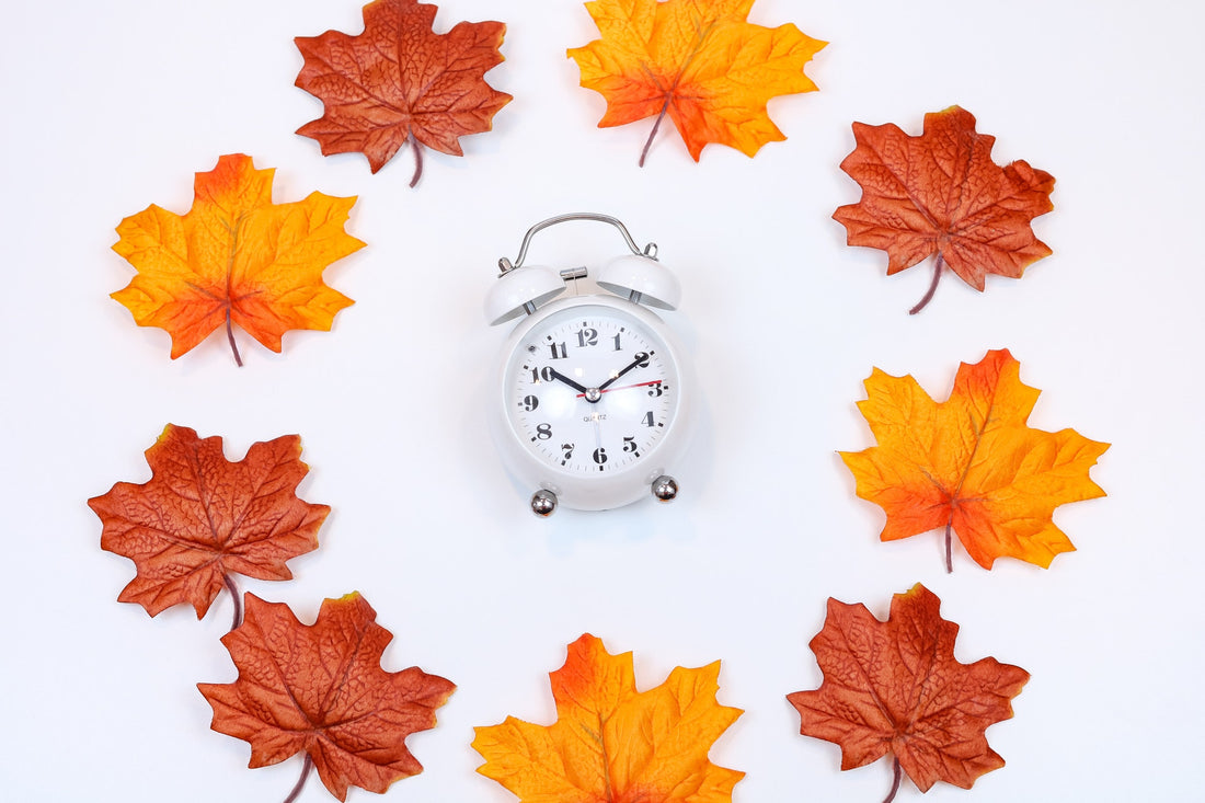 What Is The Impact Of Time Change On The Immune System
