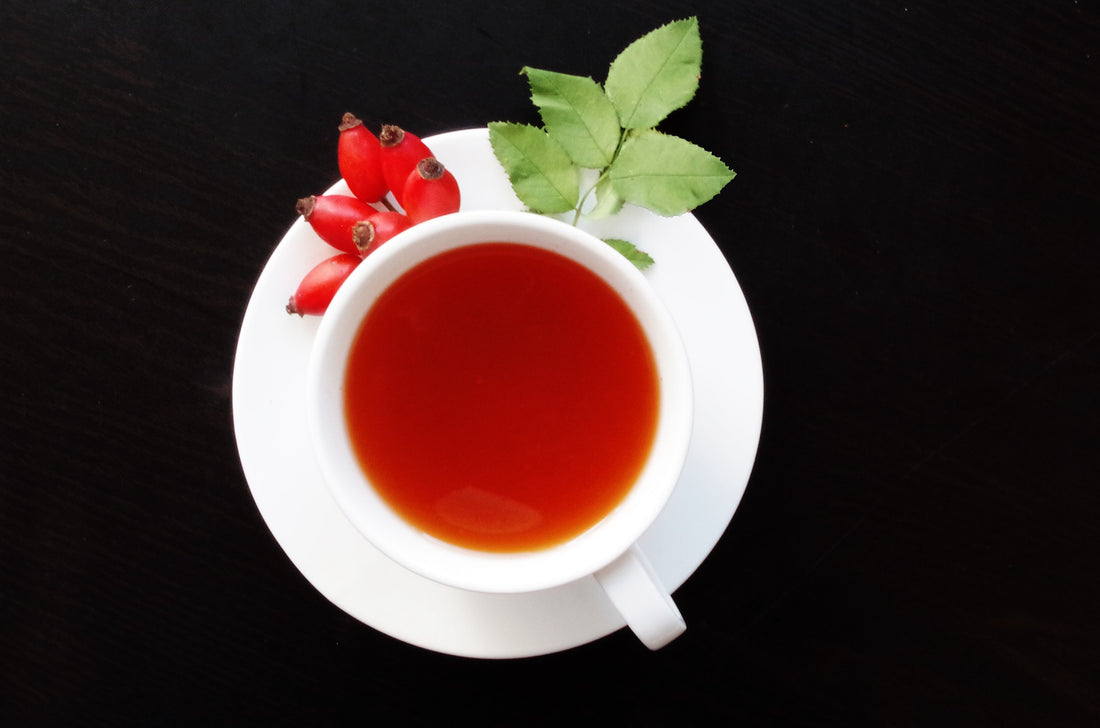 Medicinal Plants: Herbal Teas to Harvest, Dry and Enjoy This Autumn