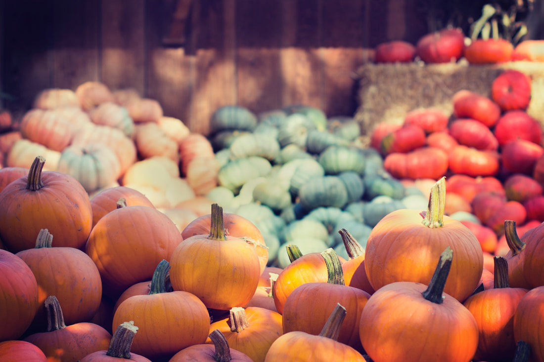 Fall in Love With Fall Foods: Healthy Produce Choices For a New Season
