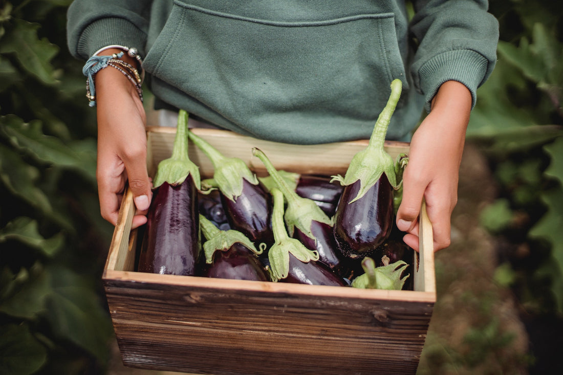 Recipes: 3 Summer Veggies For a More Healthy and Sustainable Diet