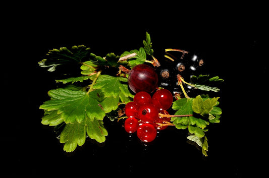 alternative health sites