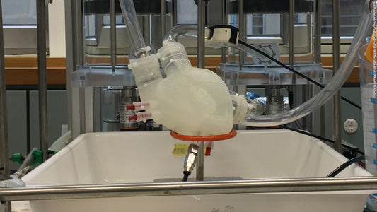 This 3-D-printed Artificial Heart Actually Beats!