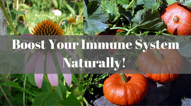 immune system