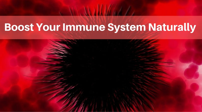 boost immune system
