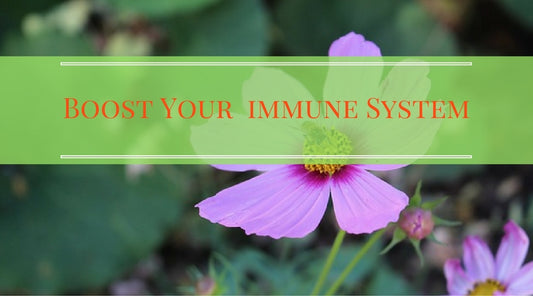 boost immune system