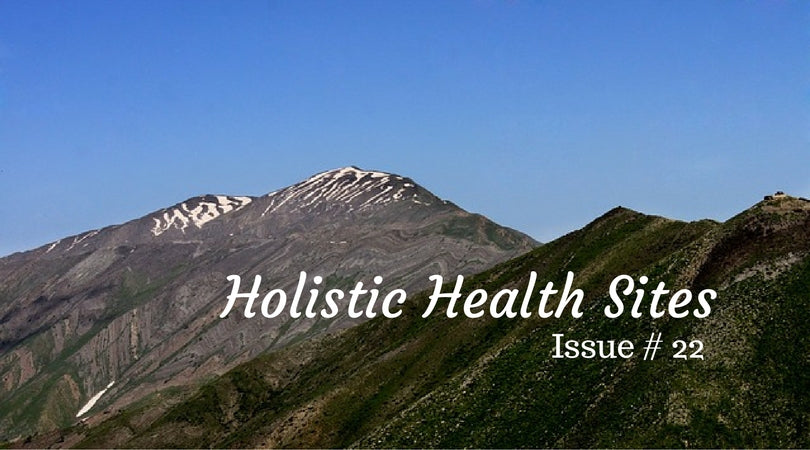 holistic health
