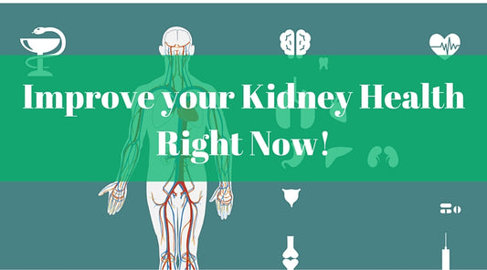 kidney health