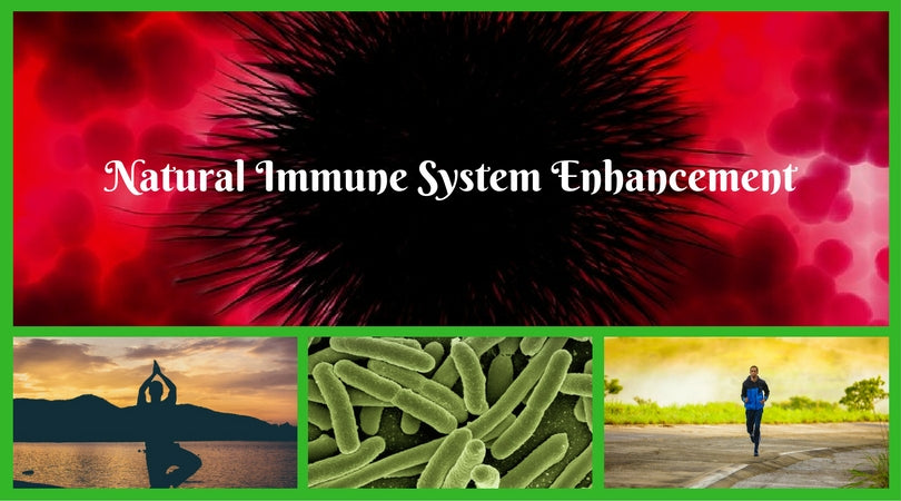 Natural Immune System Enhancement