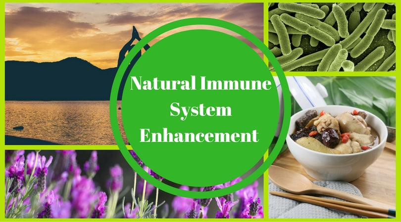 natural immune system enhancement