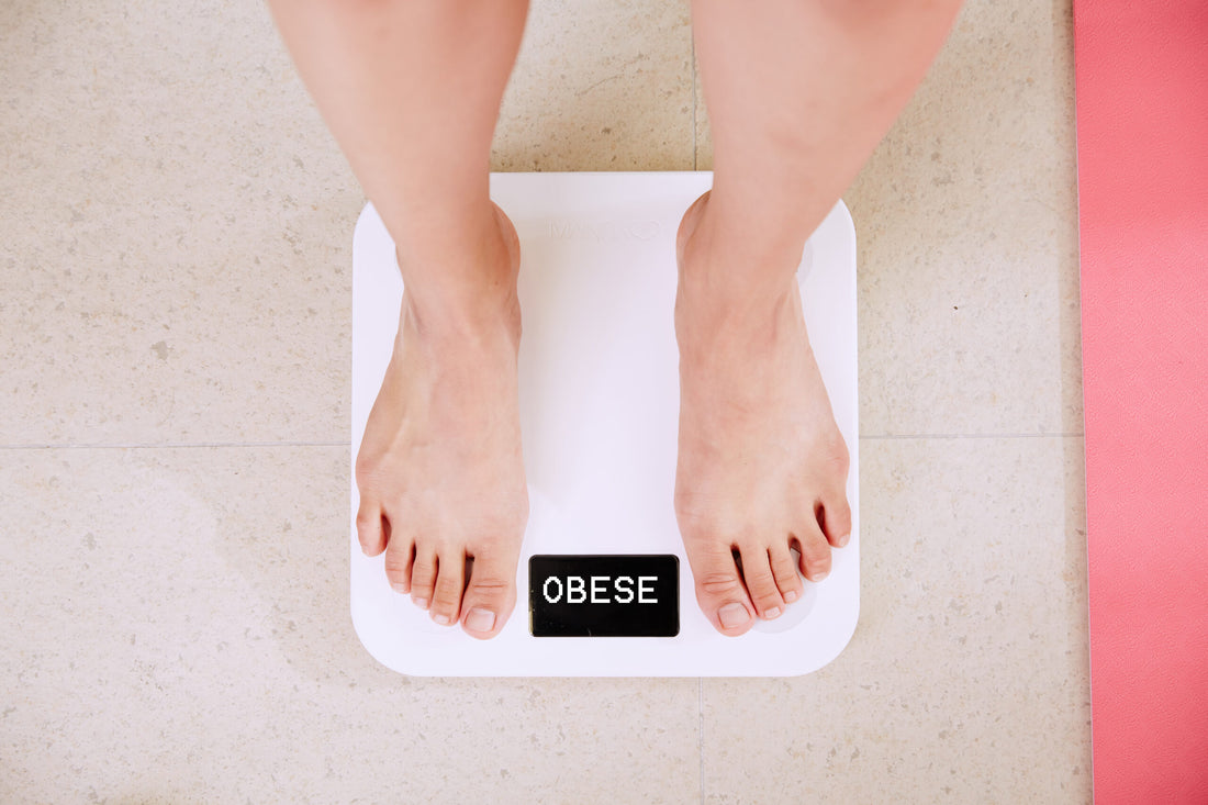Causes of Obesity