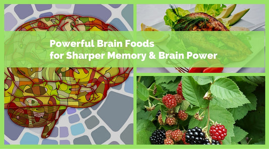 powerful brain food
