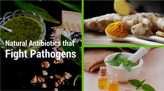 natural antibiotics