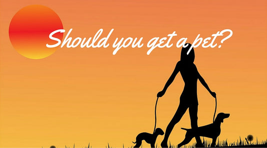 Health Benefits of Having Pets