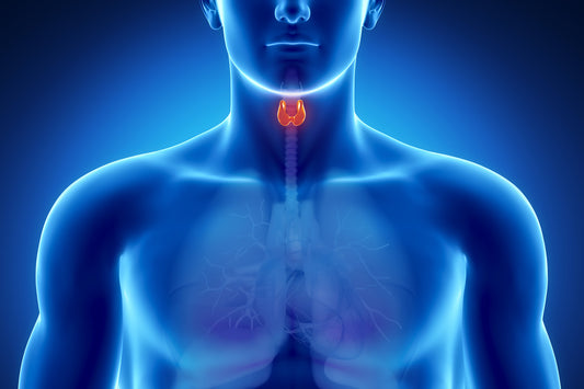 causes of Hashimoto’s Disease or Hashimoto’s Thyroiditis