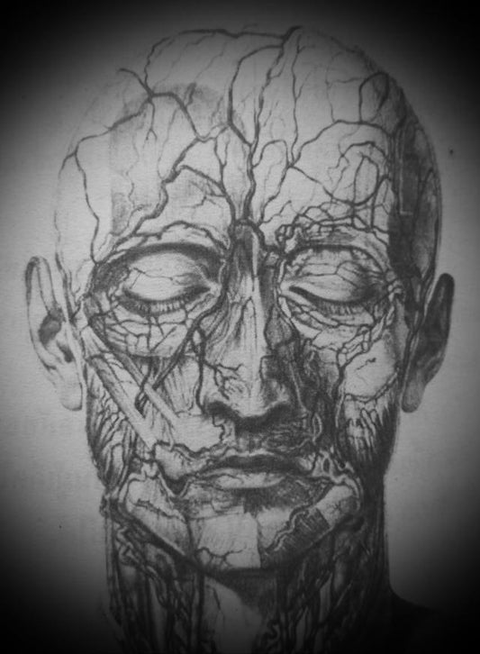 causes of schizophrenia