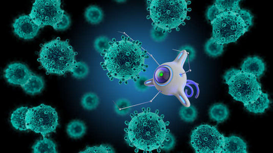 Tiny Robots Help Cure Stomach Infections In Mice