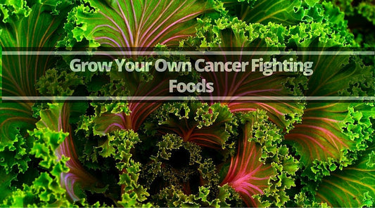 cancer fighting foods