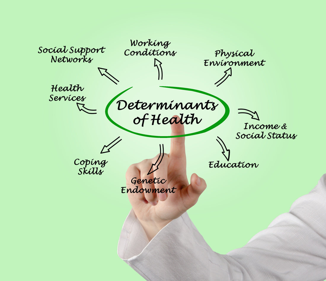 Is Environment More Important than Genetics for Shaping Your Immune System?