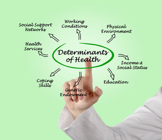 Is Environment More Important than Genetics for Shaping Your Immune System?