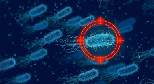 How to Fight the Flu and Get Better Faster