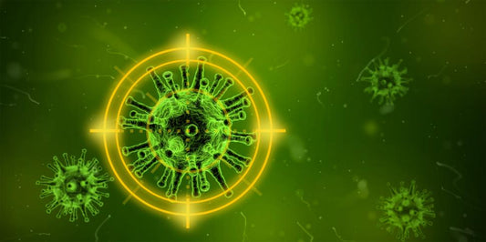 Which Are the Best Proven Ways to Avoid Contracting the Flu