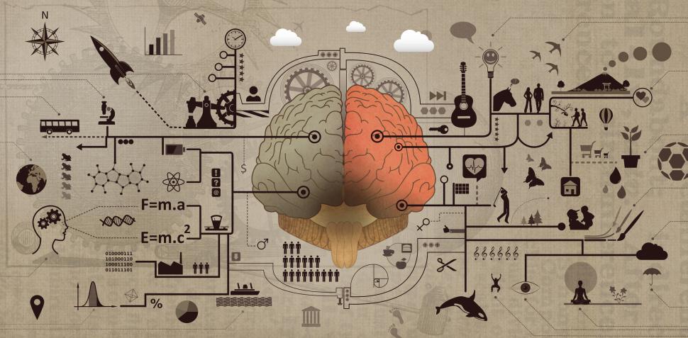 Causes Of Mental Health Disorders