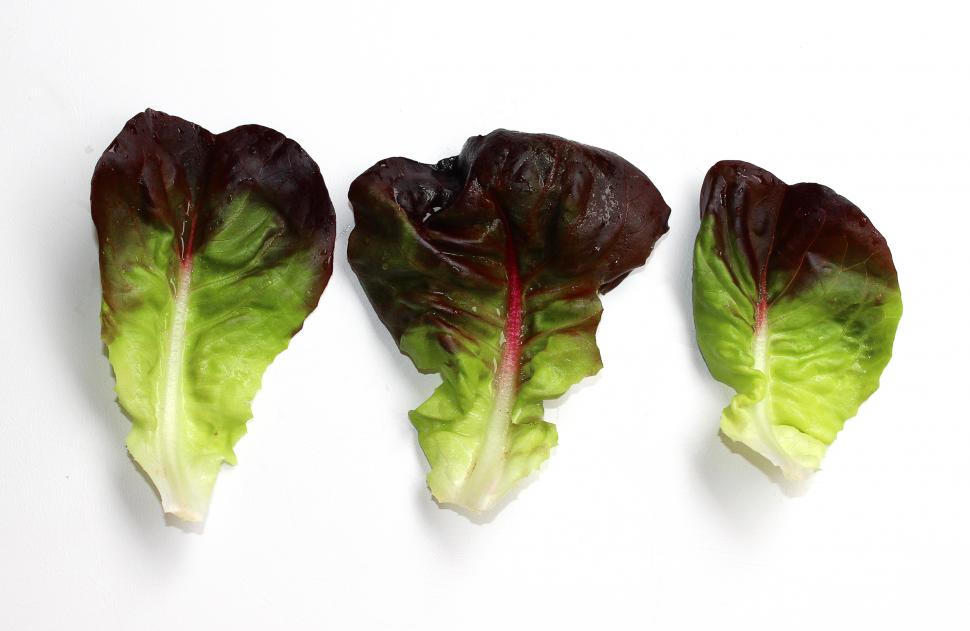 seasonal foods